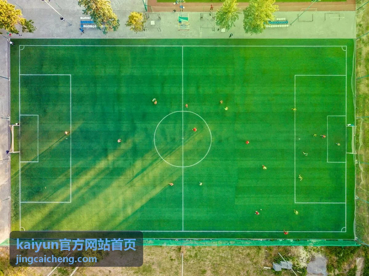 kaiyun官方网站首页平台入口导航分类封面