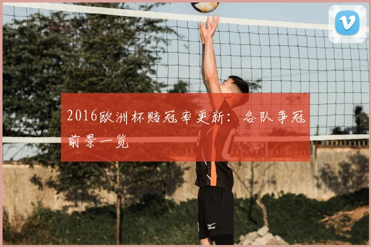 2016欧洲杯赔冠率更新：各队争冠前景一览